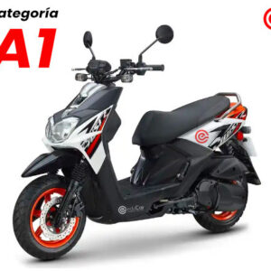 Categoria a1